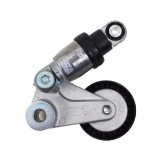 НАТЯЖИТЕЛЬ РЕМНЯ, 252813C100