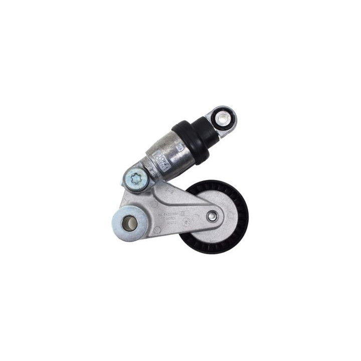 НАТЯЖИТЕЛЬ РЕМНЯ, 252813C100