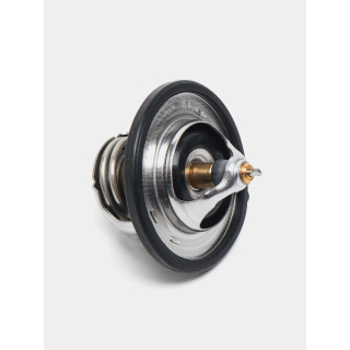 ТЕРМОСТАТИЧЕСКИЙ РЕГУЛИРУЕМЫЙ КЛАПАН, 255002B000