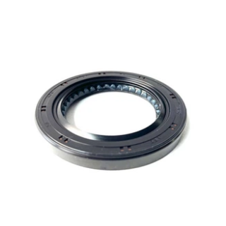 САЛЬНИК ДИФФЕРЕНЦИАЛА, 10173783-00